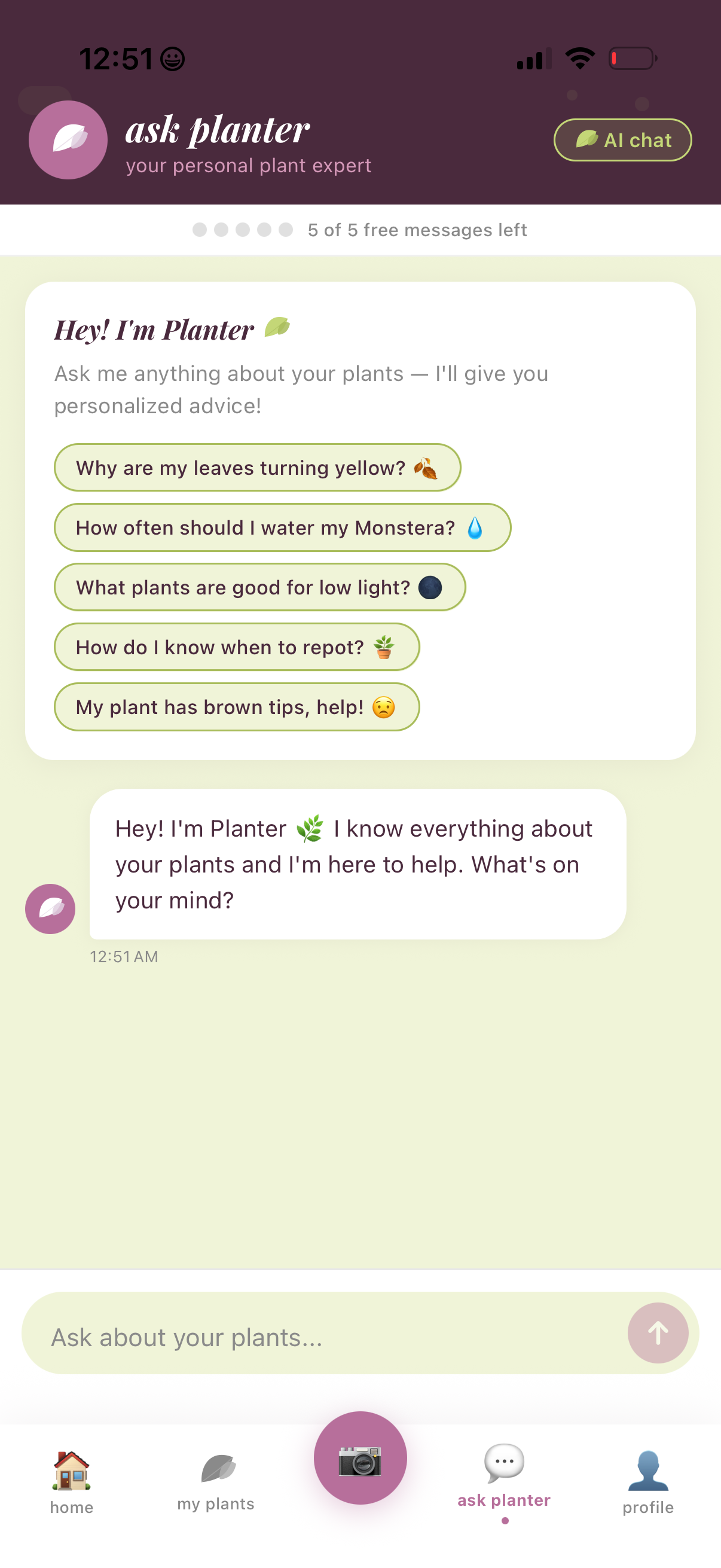 ask planter screen
