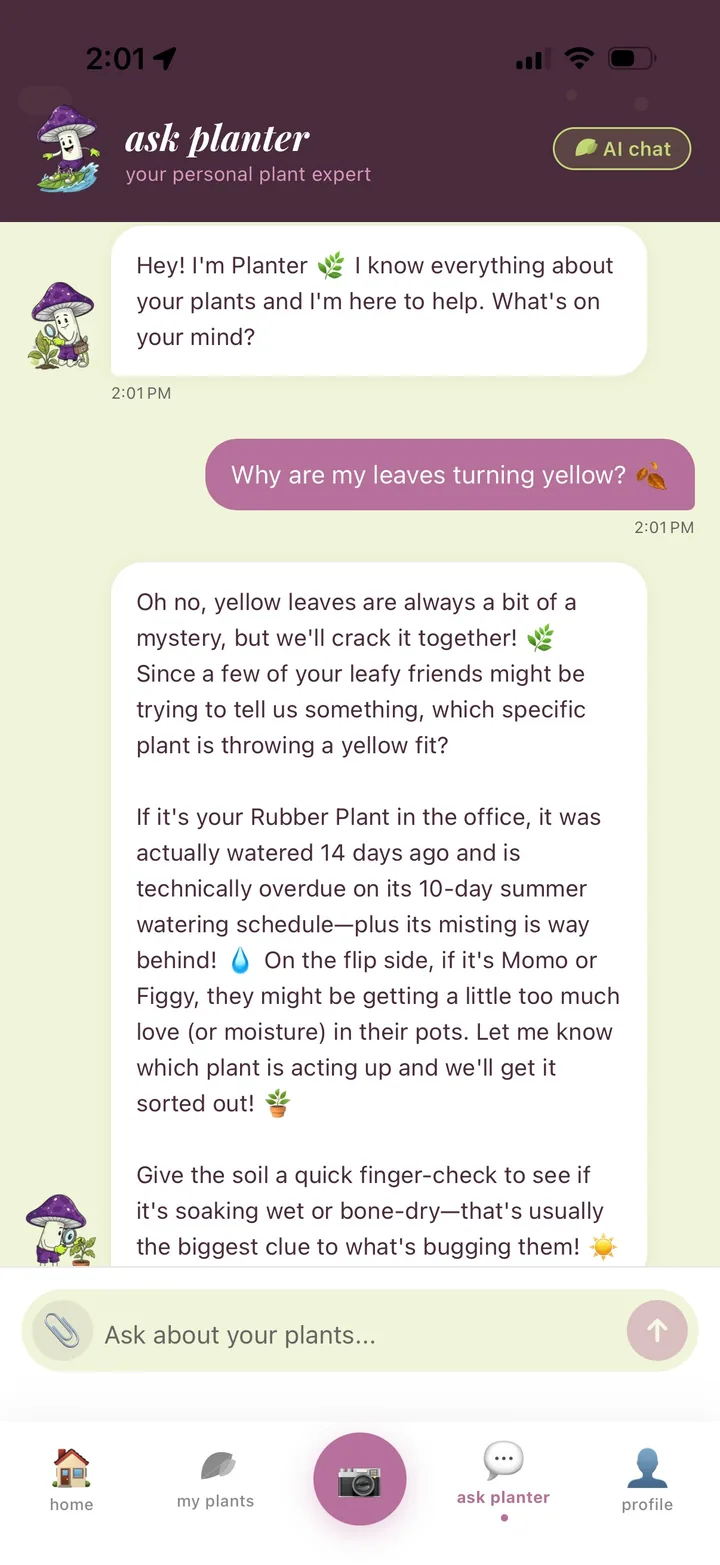 ask planter chat answering a question about yellow leaves