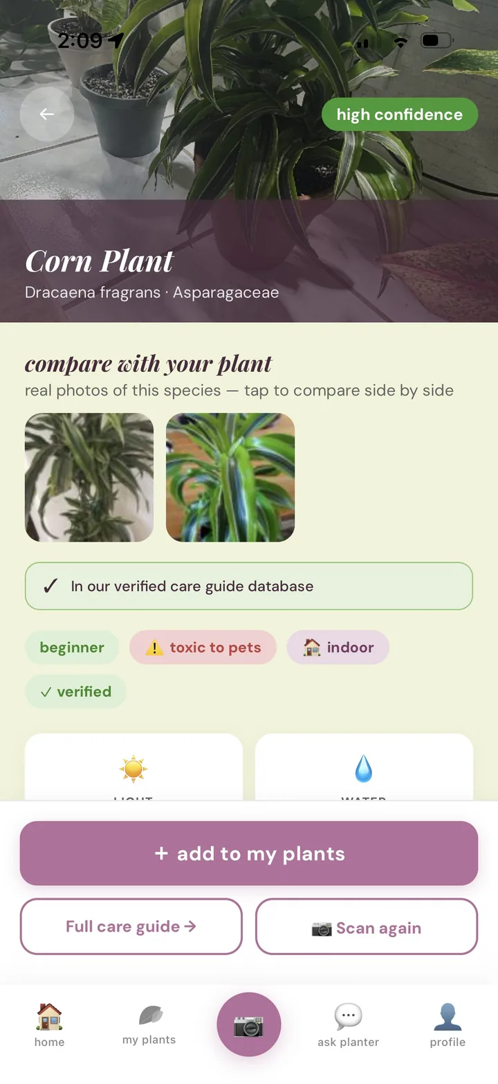 scan result identifying a corn plant, with an add to my plants button